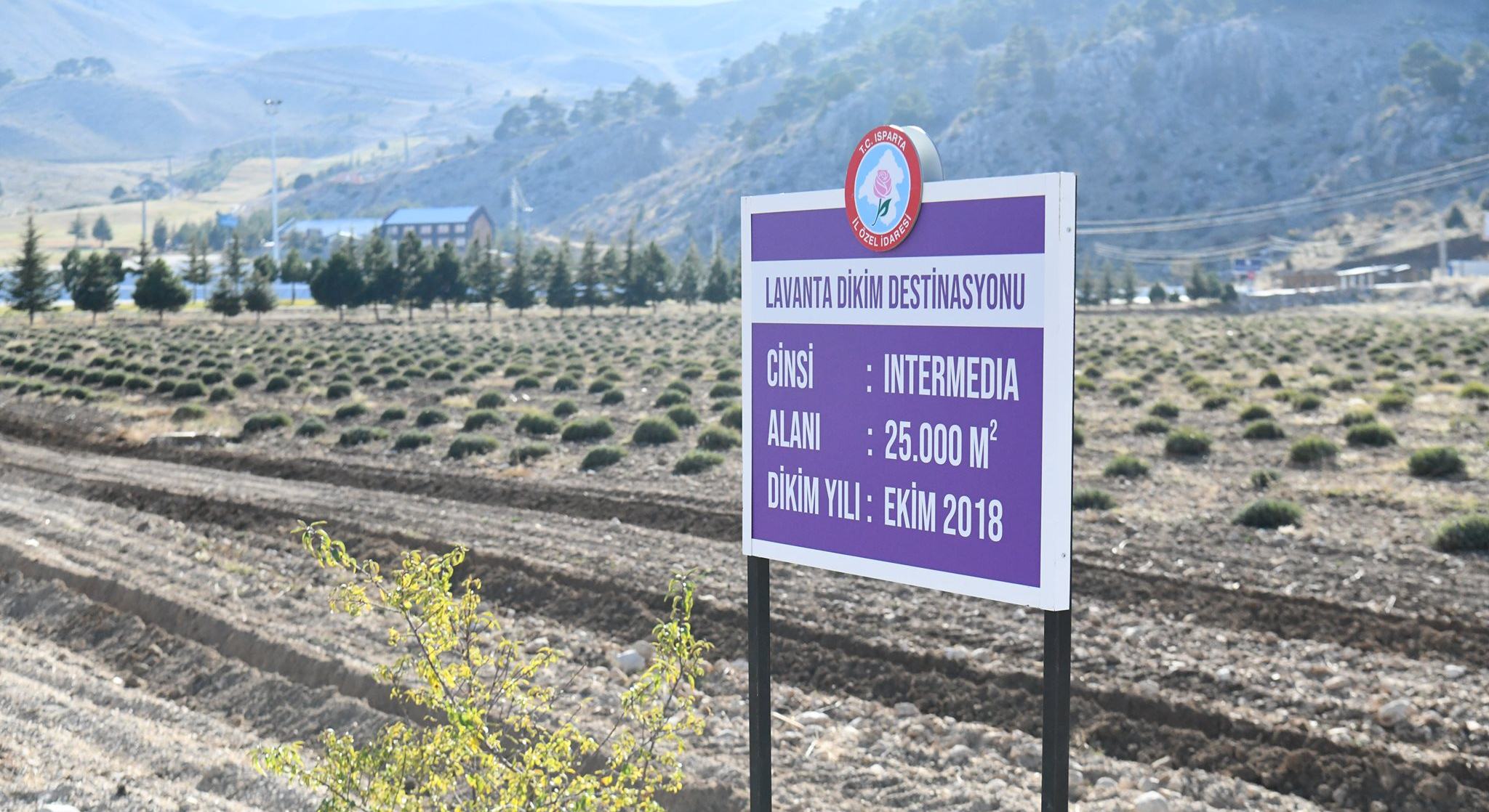 Turizmi 12 aya yayma hedefiyle bir çok çalışmanın yapıldığı Davraz