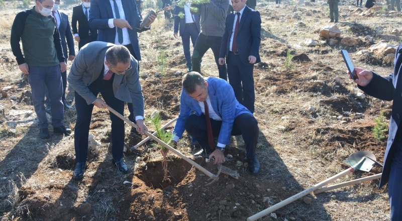 Şehit Cumhuriyet Savcısının ismi hatıra ormanında yaşayacak