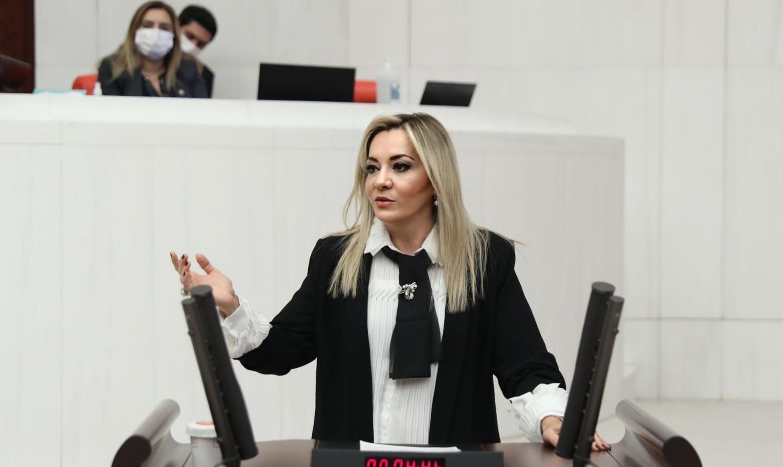 İYİ Parti Isparta Milletvekili Dr. Aylin Cesur, devam eden bütçe