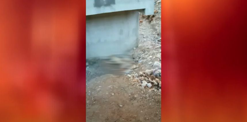 Sav Kasabasında 2 Köpek Zehirlenerek mi Öldürüldü ? Isparta’nın Sav Kasabası’nda 2 köpek cesedi bulundu. Bir vatandaş, evine