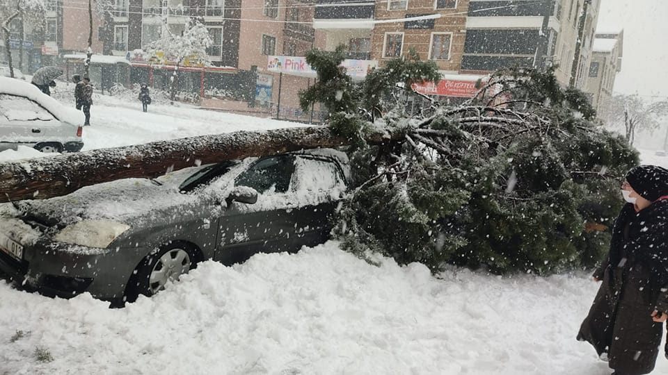 Isparta’da devam eden yoğun kar yağışı nedeniyle devrilen ağaçlar park