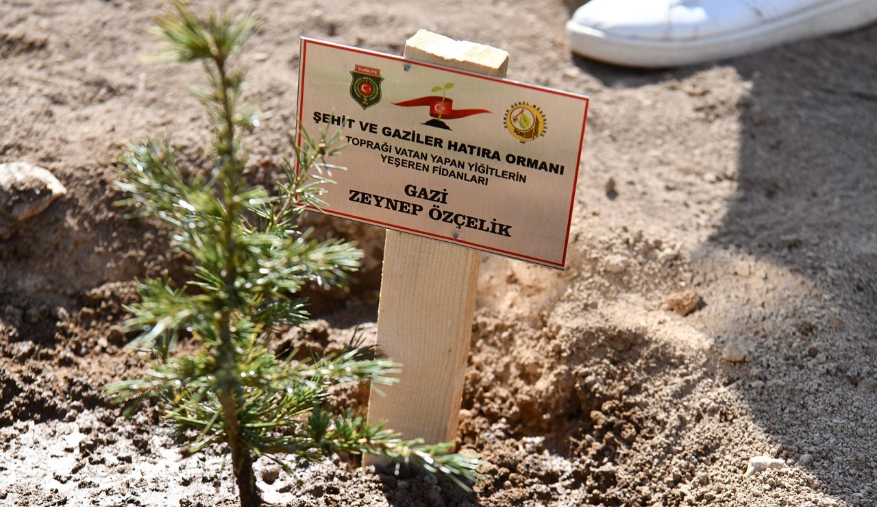 İçinde bulunduğumuz Orman Haftası kapsamında, Orman Bölge Müdürlüğü ve Türkiye