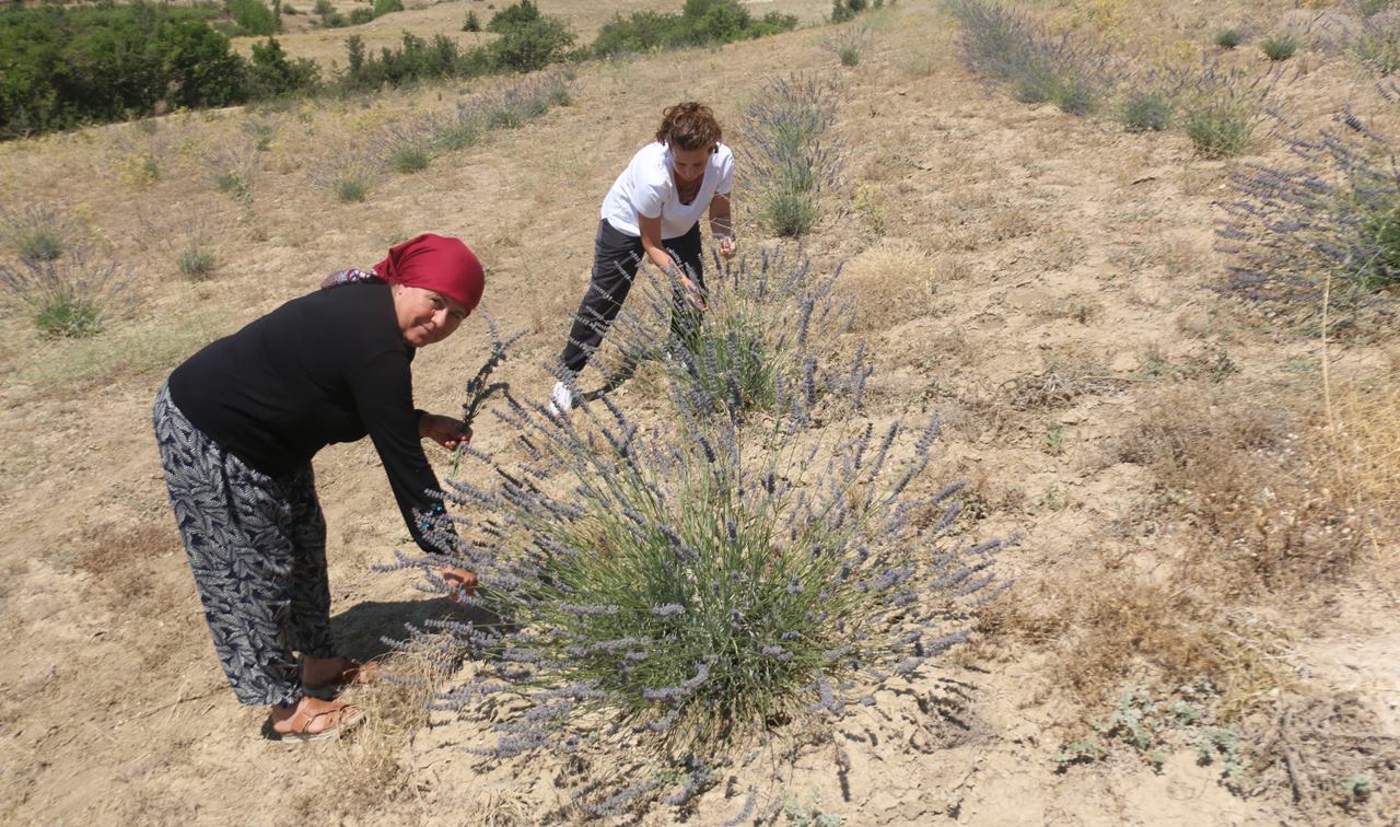 Geçtiğimiz günlerde Aile ve Sosyal Politikalar Bakanlığı tarafından hazırlanan yönetmelik