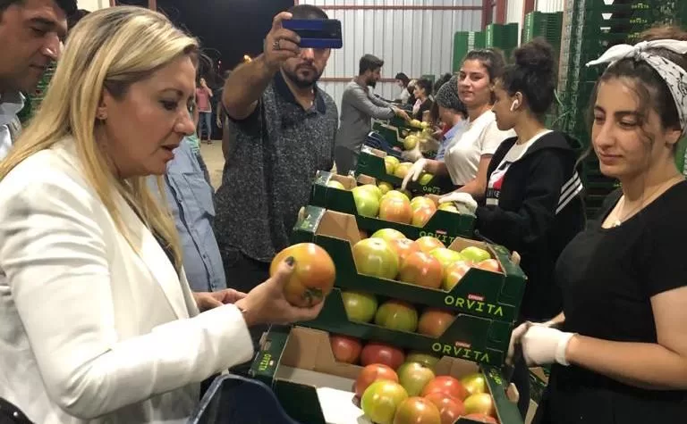 İYİ Parti Isparta Milletvekili Dr. Aylin Cesur, geçtiğimiz günlerde domates