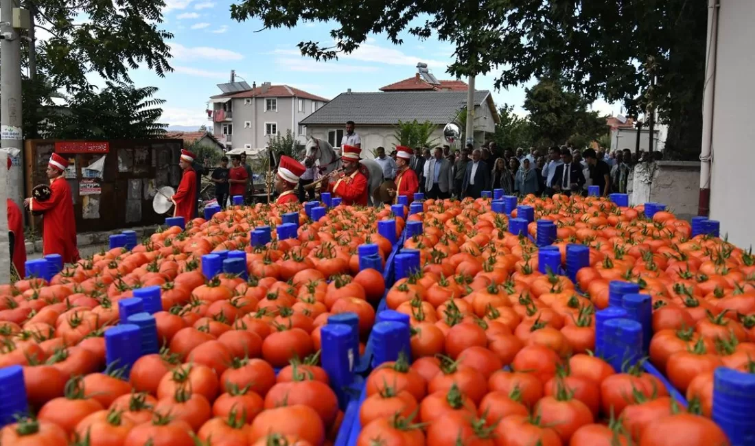 Deregümü Domates ve Karanfil Festivali Domates ve karanfil üretimiyle ön plana çıkan Deregümü köyü bu
