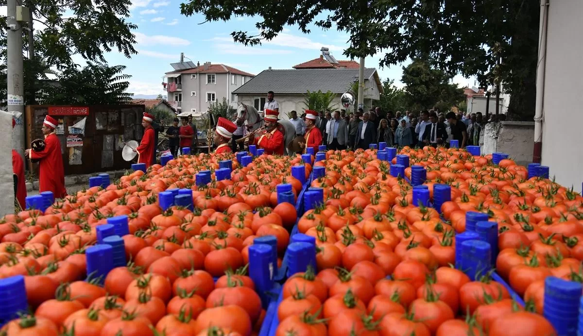 Domates ve karanfil üretimiyle ön plana çıkan Deregümü köyü bu