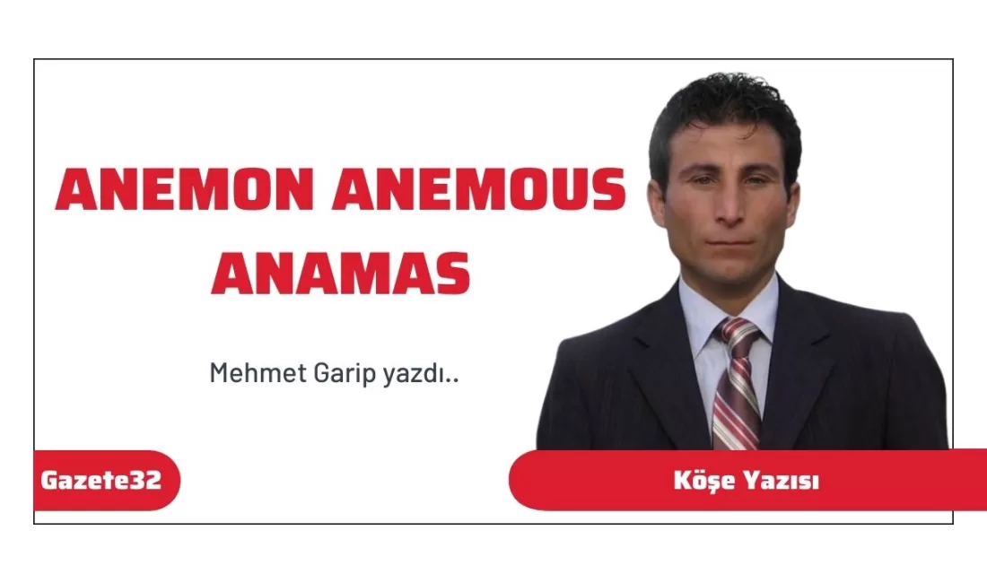 Anemon Anemous Anamas