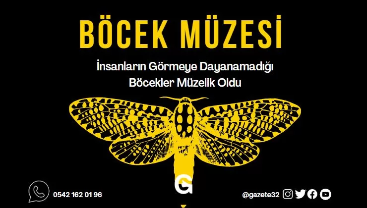 İNSANLARIN GÖRMEYE DAYANAMADIĞI BÖCEKLER MÜZELİK OLDU Isparta´da “EntomologicalMuseum of Isparta