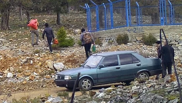 Isparta Orman Bölge Müdürlüğü görev alanındaki ağaçları kesen kaçak failler,