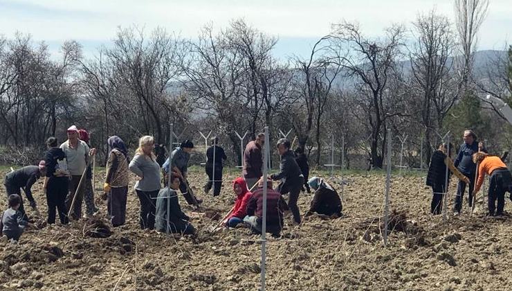 ​Ahududu ve Böğürtlen Yetiştiriciliğinin Yaygınlaştırılması Projesi ​Tarım ve Orman Bakanlığınca
