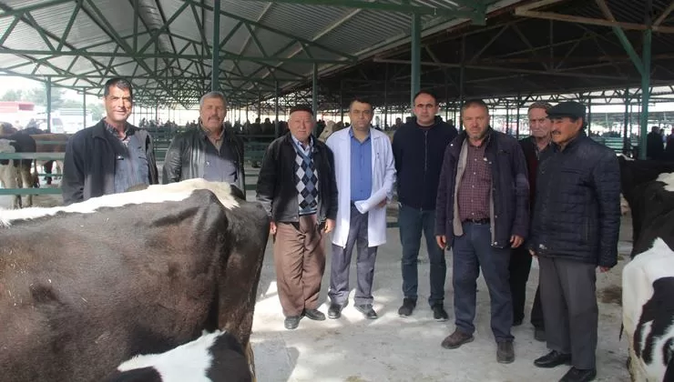 Isparta’da Hayvan Pazarı Açıldı