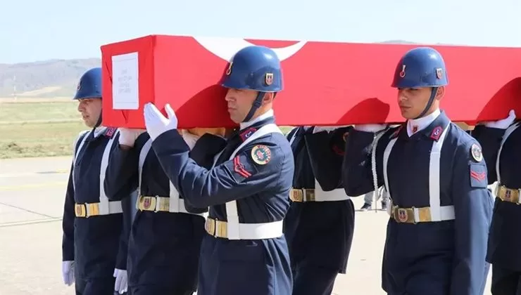 Sütçüler Prof. Dr. Hasan Gürbüz Meslek Yüksekokulu Ormancılık ve Orman