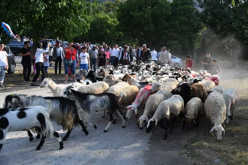 Isparta’da 400 yıllık geçmişe sahip olan Geleneksel Kurban İndirme geleneği