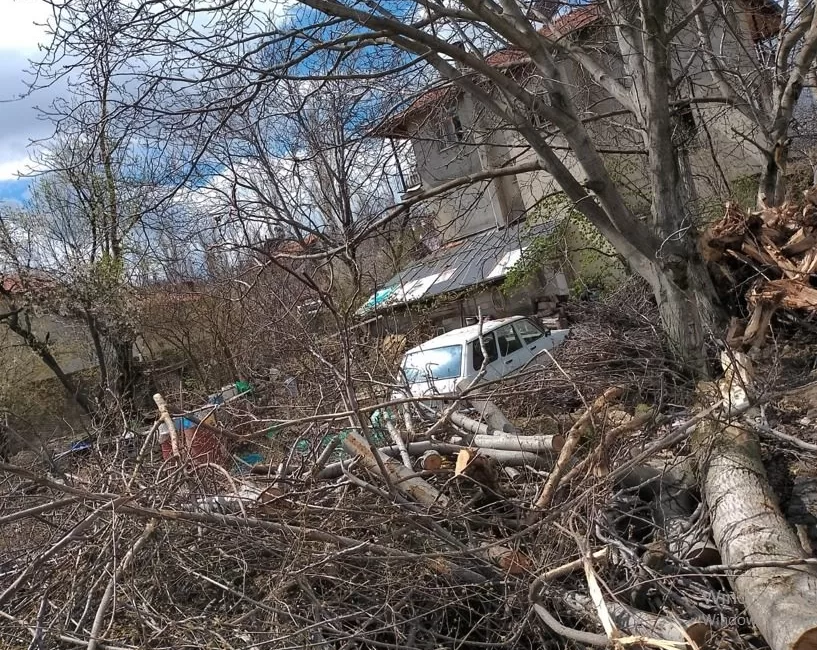 Sav Belediye Başkanını; Mahkemeye Verecekler! Merkeze bağlı Sav Kasabasında Fehmi Ünver, kendisine ait ağaçları izinsiz