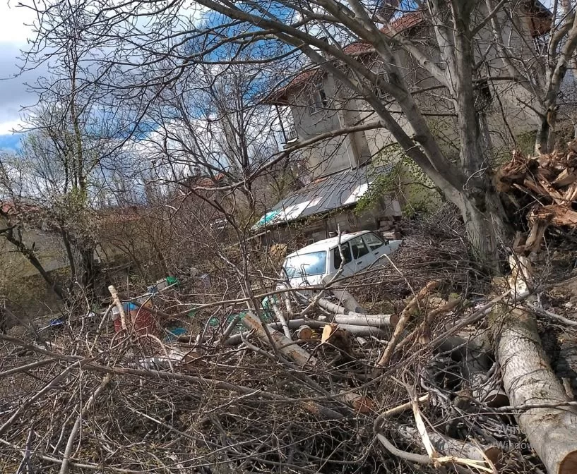 Merkeze bağlı Sav Kasabasında Fehmi Ünver, kendisine ait ağaçları izinsiz