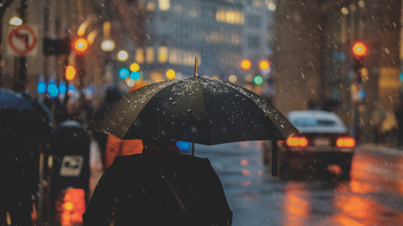 CHP Isparta il Örgütü ve Belediye Başkan Adayı Prof. Dr.