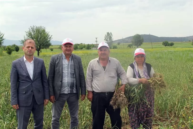 Çaltı köyü, Isparta’nın Gelendost ilçesine bağlı olarak sarımsak tarımıyla öne