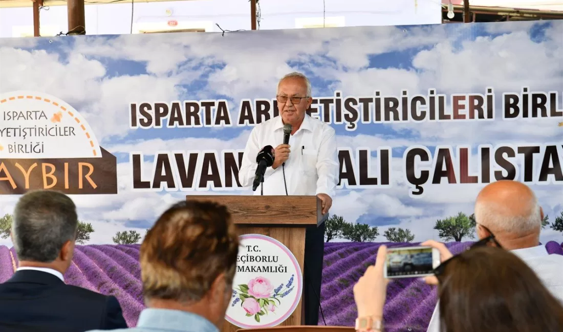 Lavanta Balı marka haline gelecek Ülkemizde lavantanın en çok yetiştirildiği Kuyucak köyünde geçtiğimiz hafta başlayan