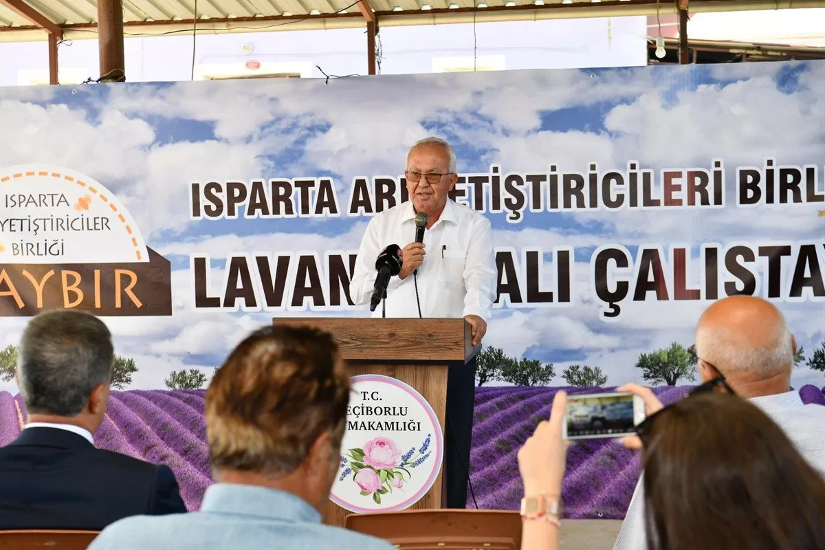 Ülkemizde lavantanın en çok yetiştirildiği Kuyucak köyünde geçtiğimiz hafta başlayan