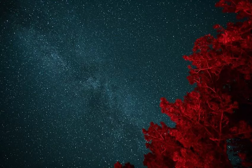 Isparta’nın Yenişarbademli ilçesinde bulunan Melikler Yaylası’nda 7. Gökyüzü Gözlem Şenliği