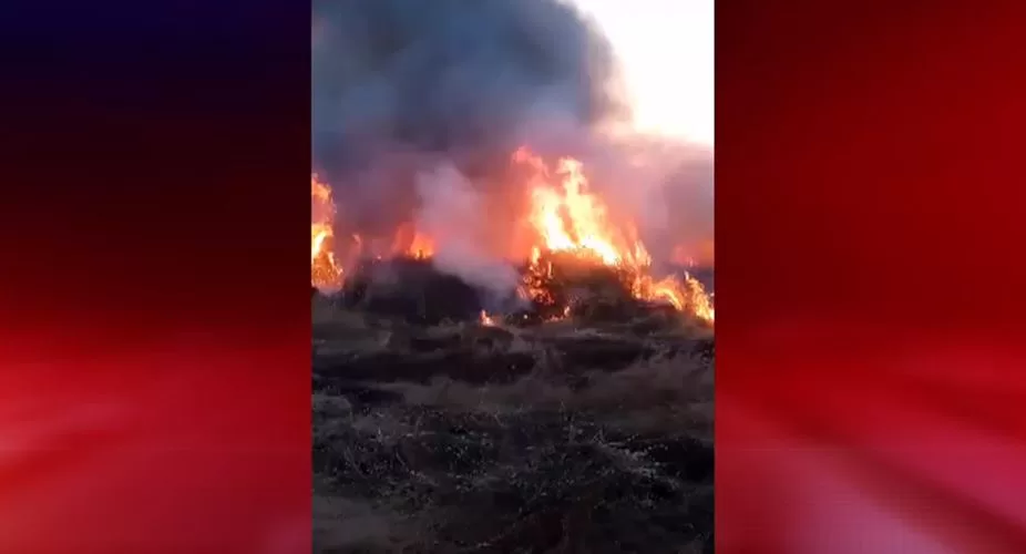 Isparta'nın Yalvaç ilçesinde korkutan yangın. 100 hektarlık sazlık alan yandı.
