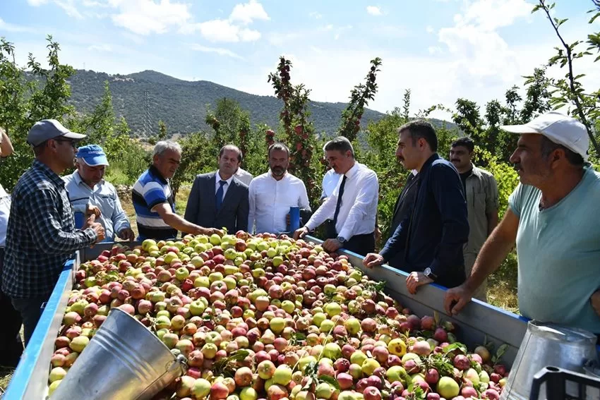 Eğirdir ve Gelendost ilçelerinin bazı köylerinde bulunan meyve bahçeleri geçtiğimiz