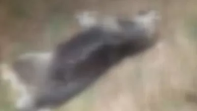 Isparta İl Emniyet Müdürlüğü, 30 Aralık 2023 tarihinde Şarkikarağaç ilçesinde