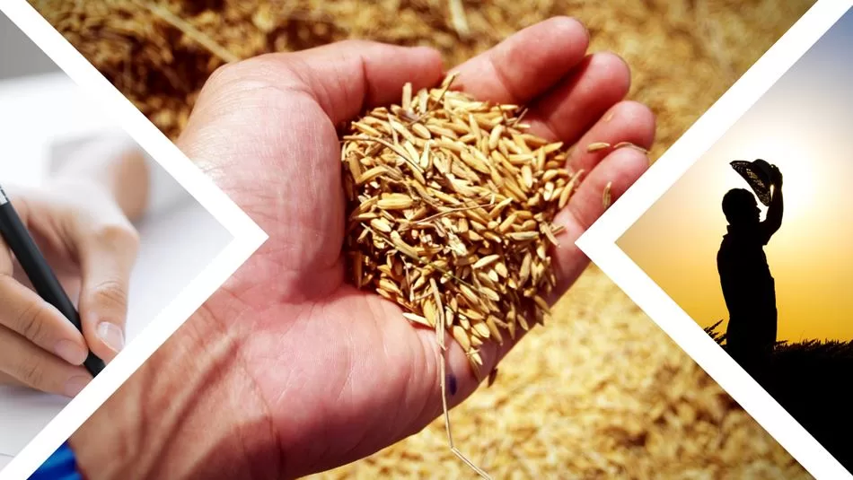 18 Kasım 2023 tarihinde Resmi Gazete’de yayımlanan Çiftçi Kayıt Sistemi