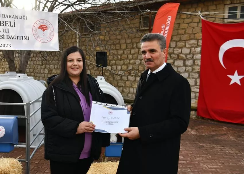 Süt sığırcılığında buzağıların bakım ve beslenmeleri sürü yönetiminin en önemli