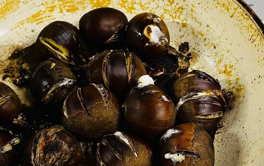 Kestane aldı, zehirlenmekten son anda kurtuldu!