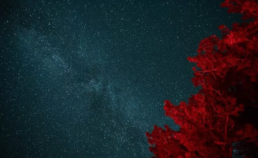 Isparta Valiliği koordinasyonunda Süleyman Demirel Üniversitesi çatısı altında düzenlenen “Isparta