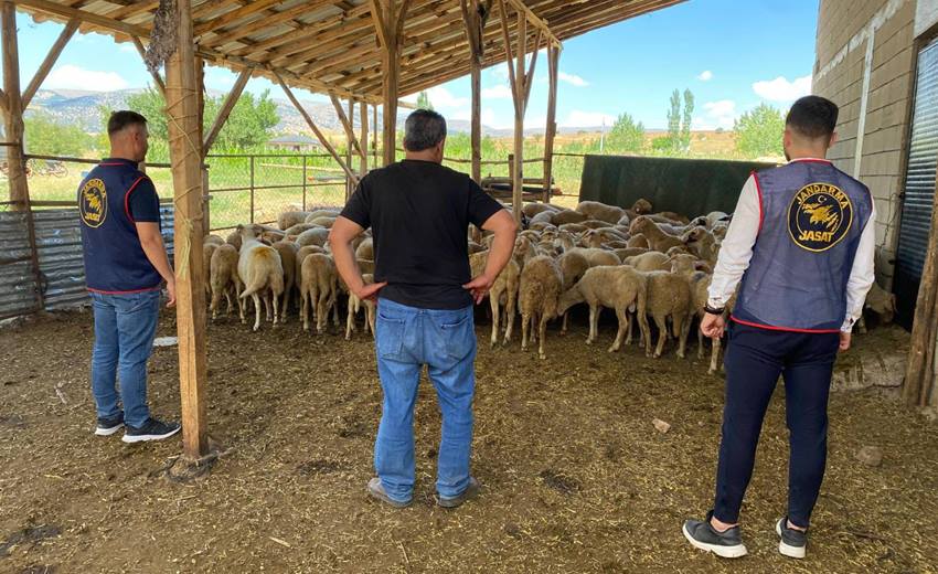 Isparta ili Yalvaç ilçesi Sücüllü köyünde 31 Temmuz 2024 tarihinde