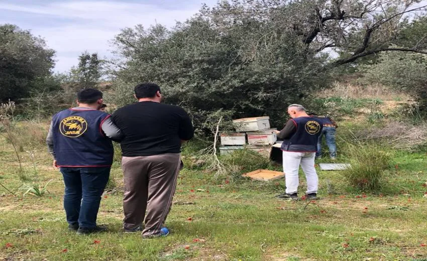 Isparta’nın Atabey ilçesinde 17 Mart 2025 tarihinde meydana gelen arı
