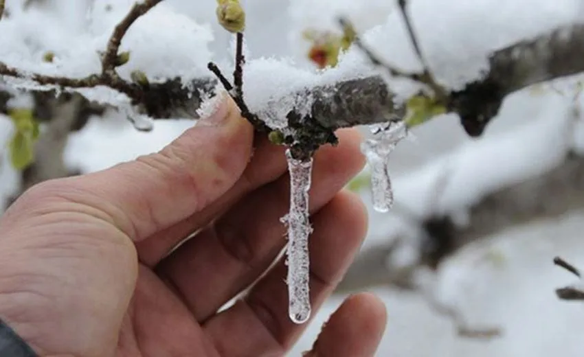 Meteorolojiden yapılan son değerlendirmelere göre; Cumartesi’yi Pazar’a bağlayan gece ile