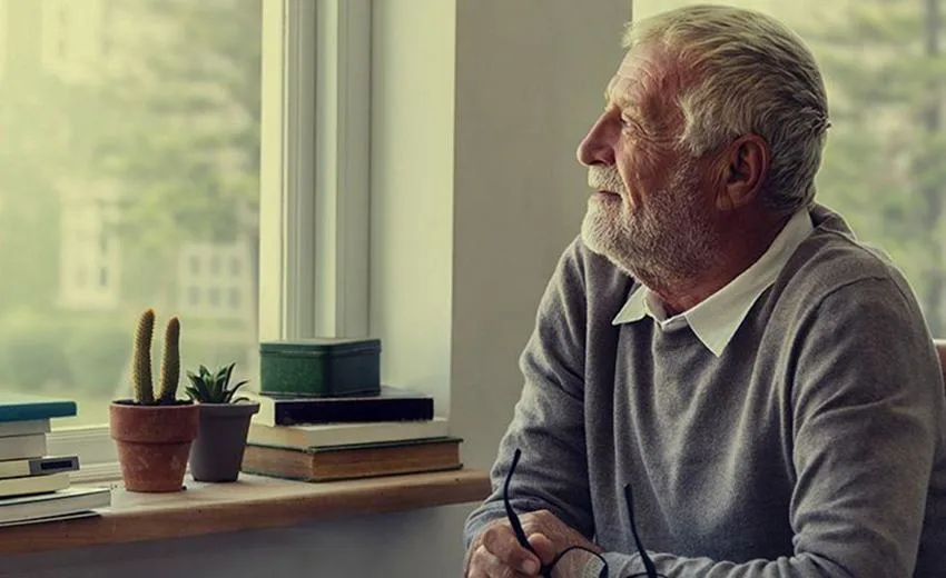 Türkiye İstatistik Kurumu (TÜİK) tarafından açıklanan 2024 yılı verilerine göre,