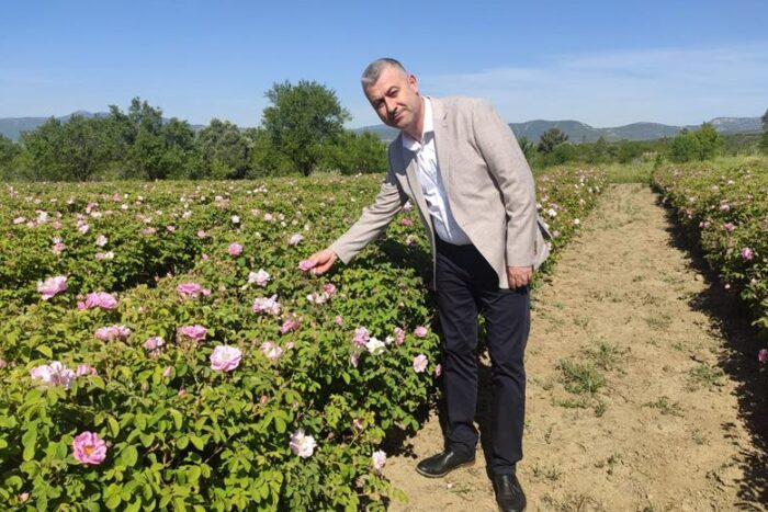 Isparta’da Gül Hasadı Sona Erdi
