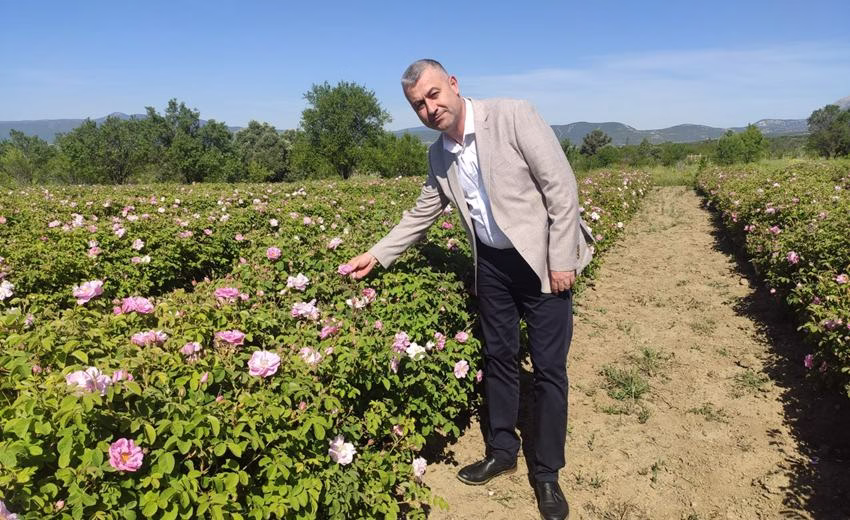 2025 Gülçiçeği alımlarının tamamlandığını belirten Gülbirlik Genel Müdürü İbrahim Işıdan,