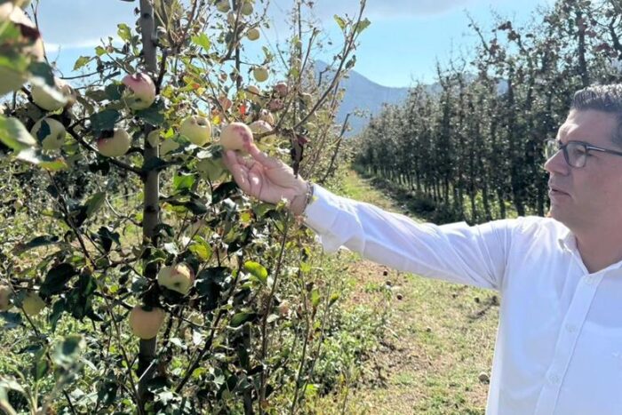 Elma Üreticileri Susuzlukla Boğuşuyor: Su Projeleri İhaleye Açılmalı