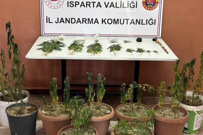 Isparta’nın Gönen İlçesinde 65 Kök Kenevir Ele Geçirildi