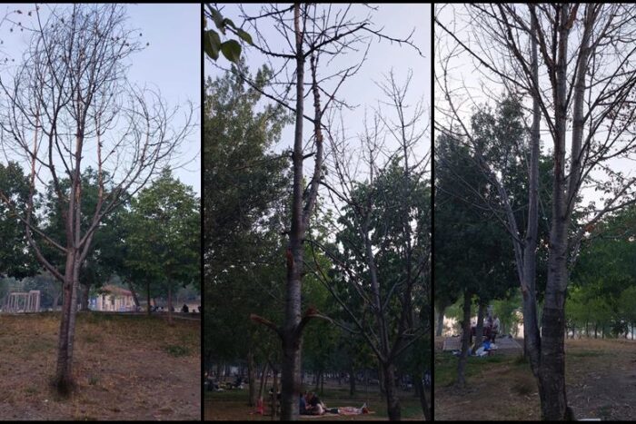 Gökçay’da Alarm Zilleri Çalıyor!