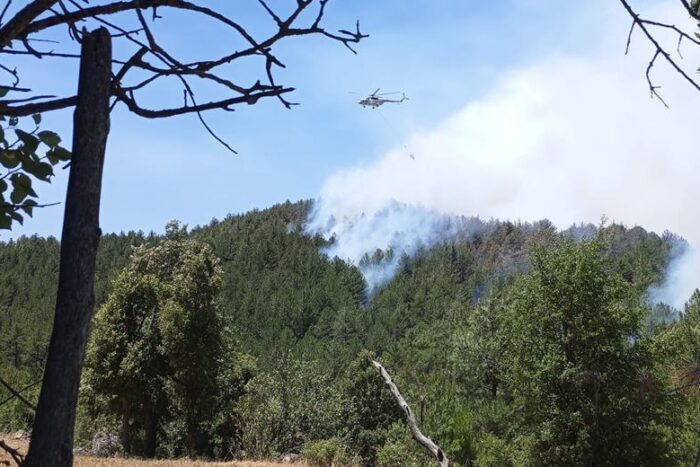 Isparta’da Orman Yangını