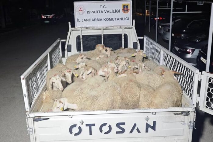 Küçükbaş Hayvan Hırsızları Jandarmadan Kaçamadı