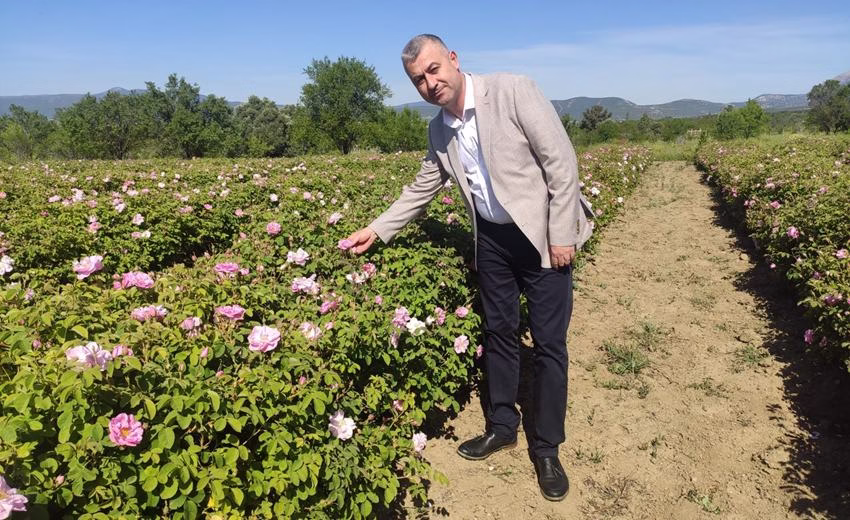 Gülbirlik Yönetim Kurulu bugün yaptığı toplantıda binlerce gül üreticisinin merakla