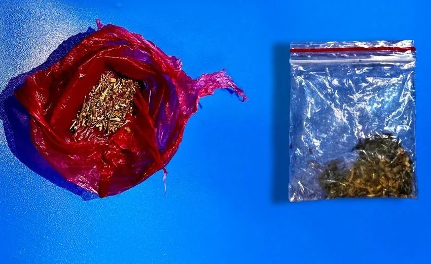 Isparta’da polis ekiplerinin yürüttüğü denetimlerde iki farklı şüpheliden esrar maddesi