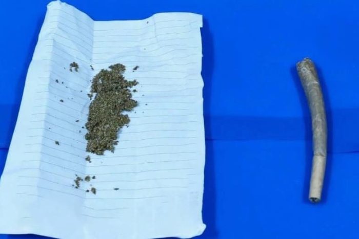 Isparta’da Yunus Timlerinin Uyuşturucu Operasyonunda SKUNK Ele Geçirildi