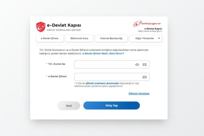 Turkey Expands Digital Public Services as Online Applications Increase