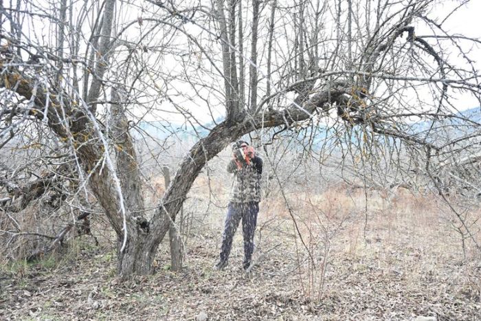 Gölcük Tabiat Parkı’nda Elma Bahçeleri Yeniden Canlanıyor