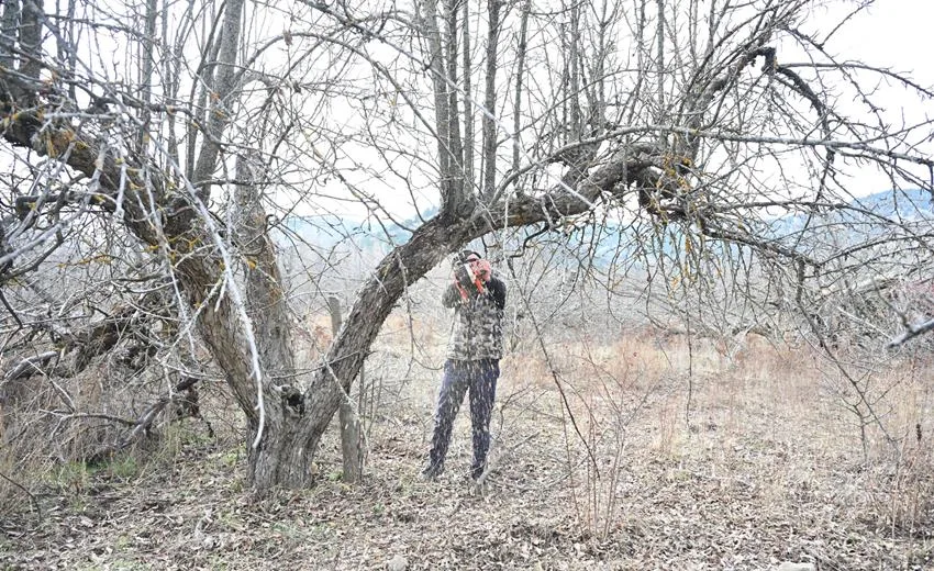 Türkiye’nin ve Isparta’nın simge doğal alanlarından biri olan Gölcük Tabiat
