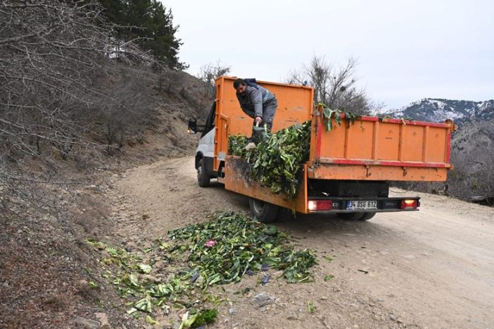 Soğuk Kışta Sessiz Canlara Destek: Isparta Belediyesi Yaban Hayvanlarını Unutmuyor