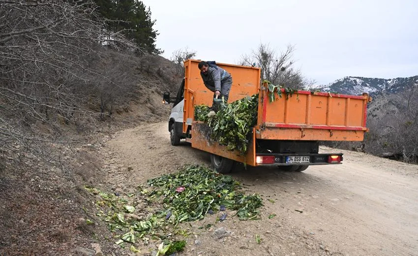 Isparta Belediyesi, kış aylarında ağırlaşan hava koşulları nedeniyle yiyecek bulmakta